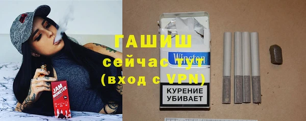 гидра Абаза