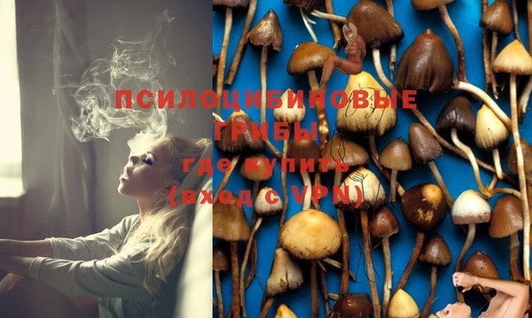 ECSTASY Абдулино