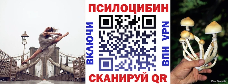 закладка Плавск Галлюциногенные грибы мухоморы